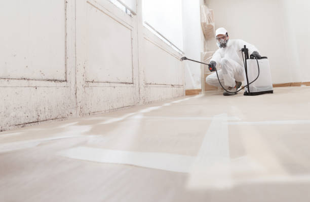 24/7 Emergency Mold Removal experts in Laurel, VA